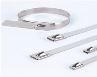 Stainless Steel Banding Strap/Cable Ties