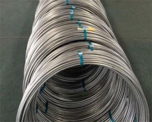 Stainless Steel Spring Wire